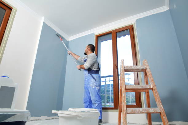 Best HVAC Mold Inspection and Cleaning  in Crystal, MN