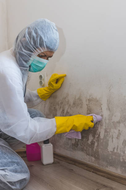 Dehumidification Services in Crystal, MN