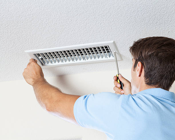 Best Basement Mold Removal  in Crystal, MN
